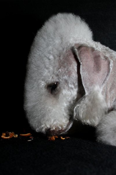 2010-11-14 Svet (18).jpg